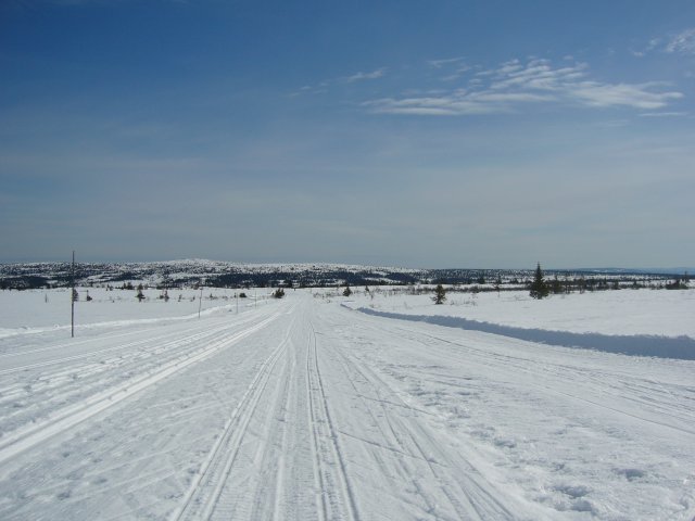 birkebeinerlypa i raufjellet